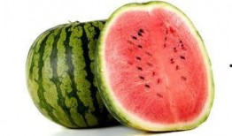 西瓜博物馆的瓜是免费吃的吗,免费品尝甜蜜瓜果的乐园