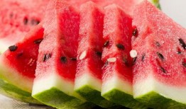 西瓜博物馆的瓜是免费吃的吗,免费品尝甜蜜瓜果的乐园