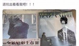 新闻时有爆料,新闻事件背后惊人真相揭露