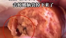 香肠配对爆料怎么做的视频,轻松上手，打造热门短视频