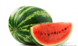 西瓜博物馆的瓜是免费吃的吗,免费品尝甜蜜瓜果的乐园