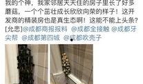 今日头条成都一网友爆料,惊现神秘事件，真相令人震惊！