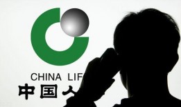 张乃丹爆料保险视频