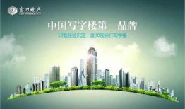 富力地产 网友视频爆料,揭秘项目背后真相