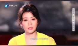 贾静雯前夫的爆料视频,婚姻内幕曝光