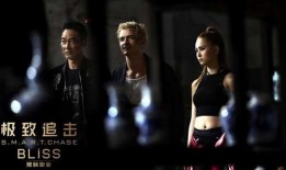 极致追击在线观看免费,惊险刺激，动作盛宴等你来战！