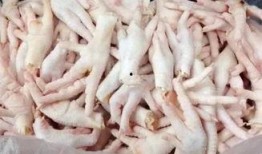 鸡爪养殖爆料视频教程全集,揭秘视频教程全集核心内容