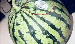 718网红吃瓜网,揭秘娱乐圈幕后故事，带你领略网红圈风云变幻