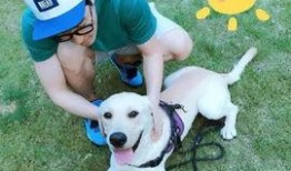 娱乐圈吃瓜小狗小说免费阅读,吃瓜小狗的甜蜜复仇之旅