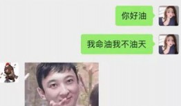 呆娃崩溃爆料视频大全集,视频大全集深度解析