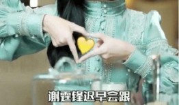 朱皮爆料谢霆锋的视频,视频曝光惊人内幕