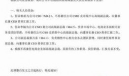 最新咨询爆料网站大全,揭秘网络舆论风向标