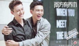 南方有乔木电视剧在线观看,浪漫都市中的爱情与梦想交织