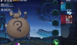 王者爆料猫咪是谁啊视频,猫咪身份大揭秘！