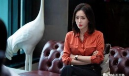 秦岚带你吃瓜娱乐圈,一场别开生面的“吃瓜”之旅