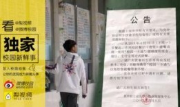 最新高校爆料新闻视频,揭秘校园热点事件背后的真相