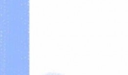 杨子爆料日料怎么做视频,日料制作全过程，轻松学会在家享受美味