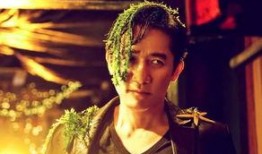 刘嘉欣爆料视频大全,揭秘娱乐圈幕后真相