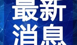 金星爆料酒店视频大全最新,酒店视频大全揭秘娱乐圈不为人知的一面