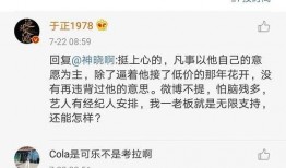 娱乐圈吃瓜年鉴,吃瓜年鉴深度解读