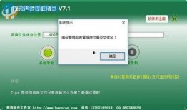 精灵之声爆料视频大全在线观看,揭秘视频大全，在线观看奇幻之旅