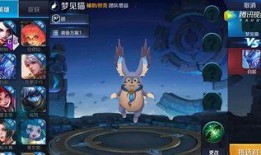 王者爆料猫咪是谁啊视频,猫咪身份大揭秘！