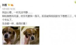 娱乐圈吃瓜小狗小说免费阅读,吃瓜小狗的甜蜜复仇之旅