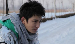 娱乐圈爆料贾乃亮,揭秘明星背后的故事