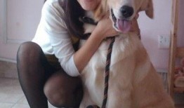 陈女士爱狗人士最新爆料,揭秘爱狗人士最新爱心行动