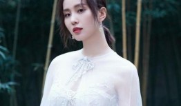 娱乐八卦爆料刘诗诗,神秘男友身份引网友热议