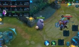 王者爆料猫咪是谁啊视频,猫咪身份大揭秘！