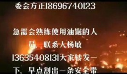今日正能量爆料视频,正能量满满！今日爆料视频传递温暖力量