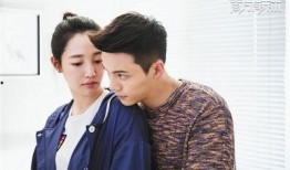 南方有乔木电视剧在线观看,浪漫都市中的爱情与梦想交织