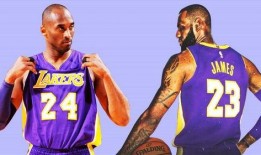 球迷爆料打赢詹姆斯视频,揭秘战胜詹姆斯的神秘视频