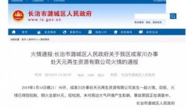 爆料天元集团事件视频播放,揭秘企业内部惊人内幕