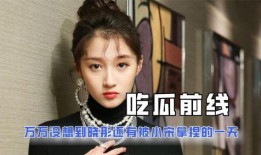 娱乐圈吃瓜小达人小说