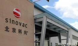 科兴中维最新爆料信息,揭秘疫苗研发进展与挑战