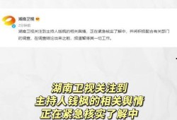 娱乐圈吃瓜年鉴,吃瓜年鉴深度解读