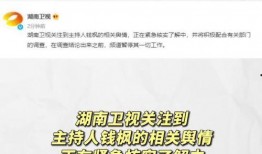 娱乐圈吃瓜年鉴,吃瓜年鉴深度解读