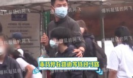 张柏芝二儿子爆料视频,揭秘明星育儿日常