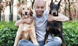 娱乐圈吃瓜小狗小说免费阅读,吃瓜小狗的甜蜜复仇之旅