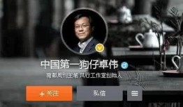第一狗仔爆料视频,视频内容深度解析