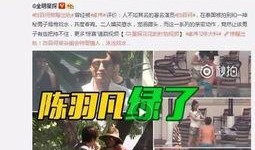 普阳钢铁爆料事件视频播放,揭秘企业内部惊人真相