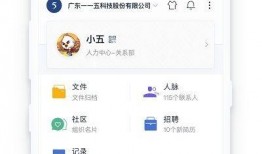 115版本最新爆料,功能升级与优化，带你领略科技新篇章