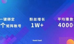 完美公司爆料案例视频讲解,揭秘企业内部问题与应对策略深度解析