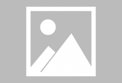 深圳今日头条小丽爆料,今日头条最新动态揭秘