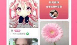 狼狗最新爆料网站下载安装,揭秘娱乐圈幕后真相