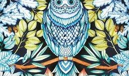 qq免费吃瓜秘密花园最新,独家福利等你来享