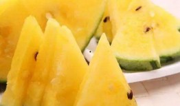 吃瓜真好吃视频下载免费,免费下载“吃瓜真好吃”视频，尽享美味瞬间