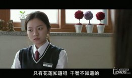 谎言在线观看中文字幕,揭秘真相背后的悬疑世界